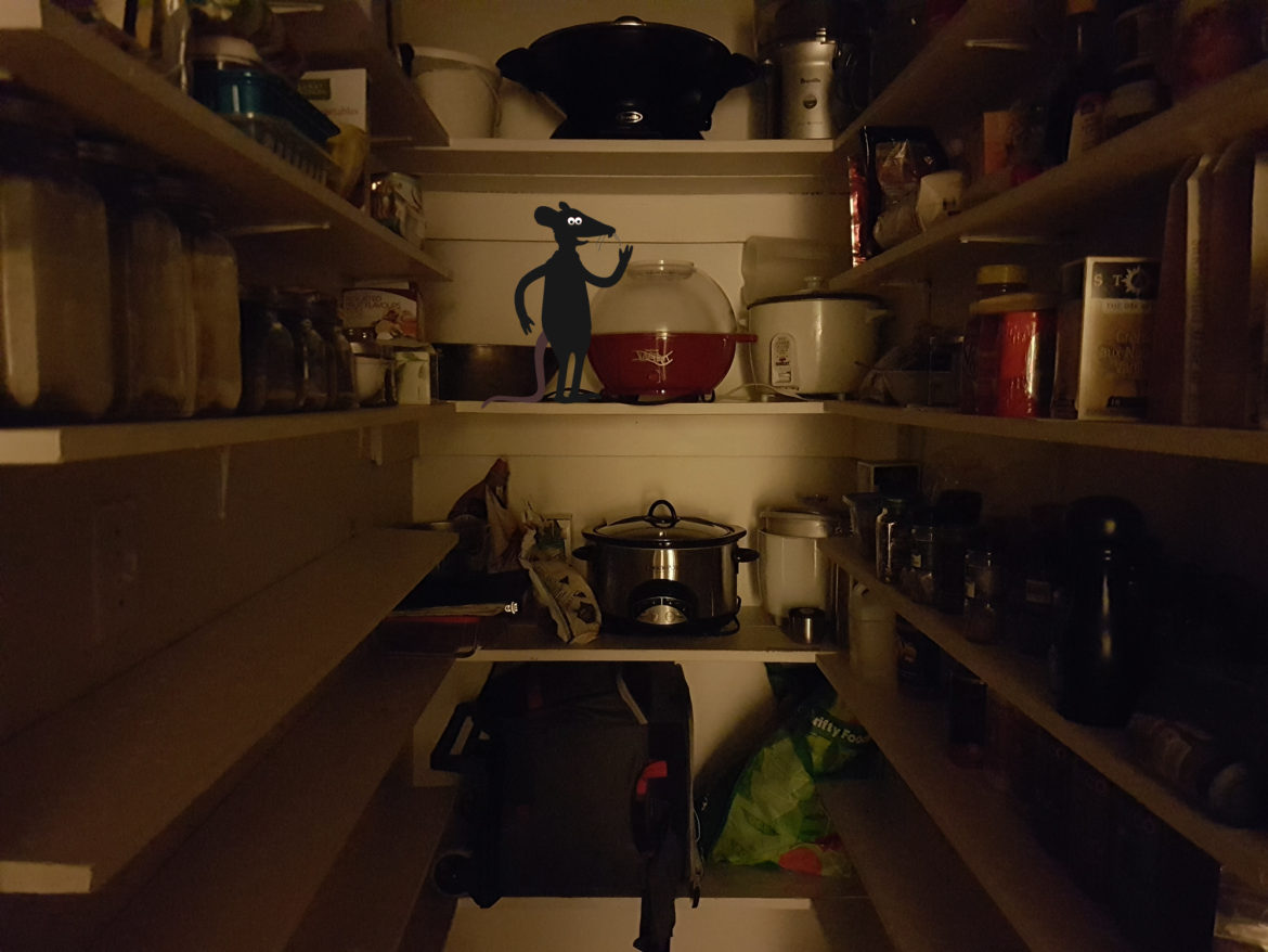 rat in a pantry