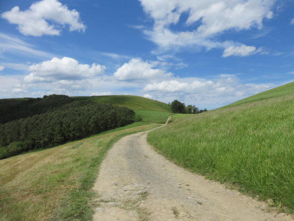 Camino del Norte between Zarautz and Deba